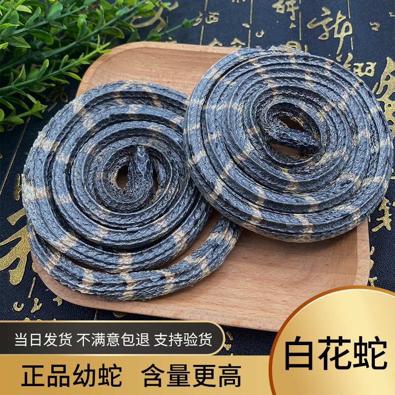 金钱白花蛇 一条 中药材 白花蛇 大白花蛇 泡酒料 食用有乌蛇脆蛇 大