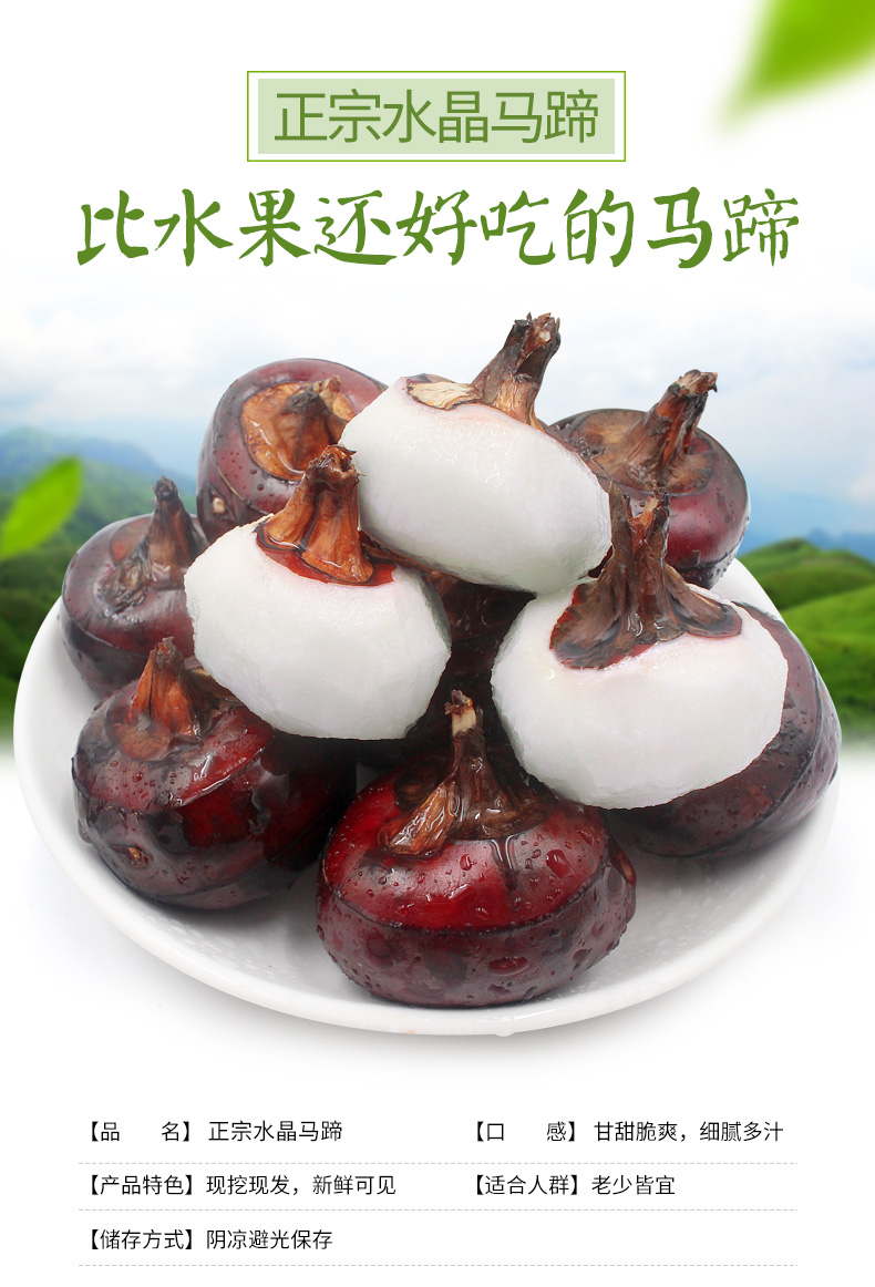 农家新鲜现挖水果水晶庐江马蹄10斤大果广西荸荠蔬菜荔浦饽荠505g