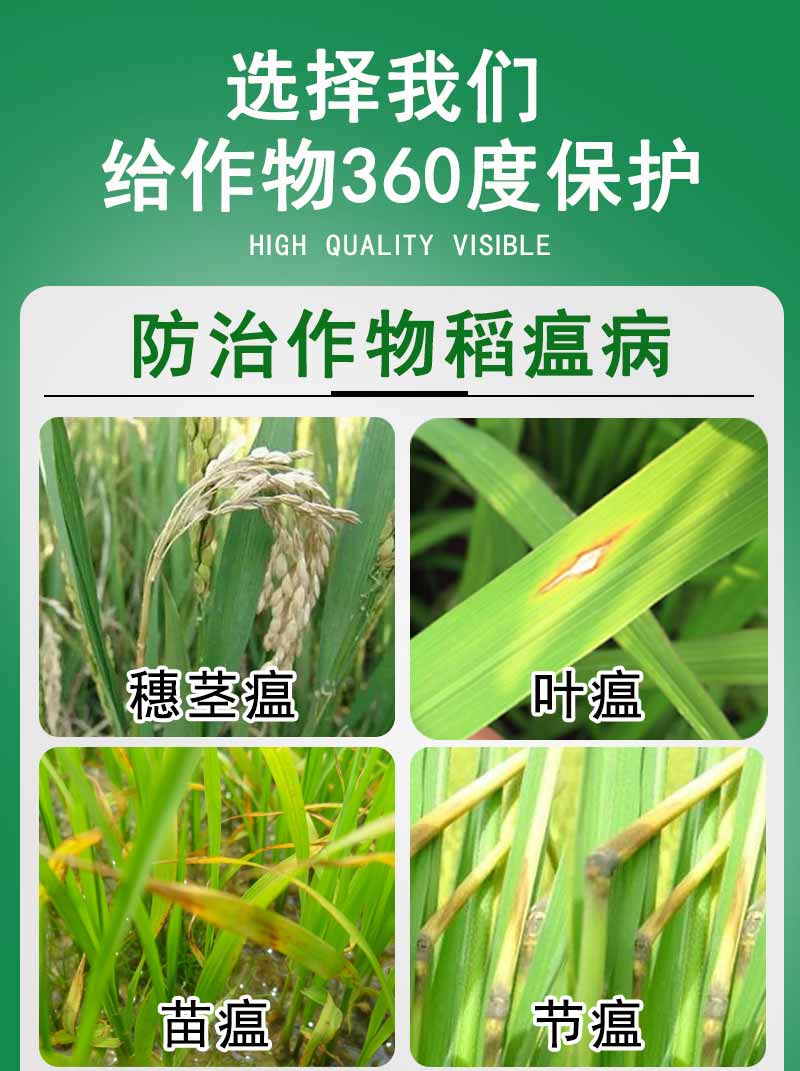农药稻瘟灵40杀菌剂水稻专用农药纹枯病节瘟叶瘟苗瘟病立枯病稻瘟病稻
