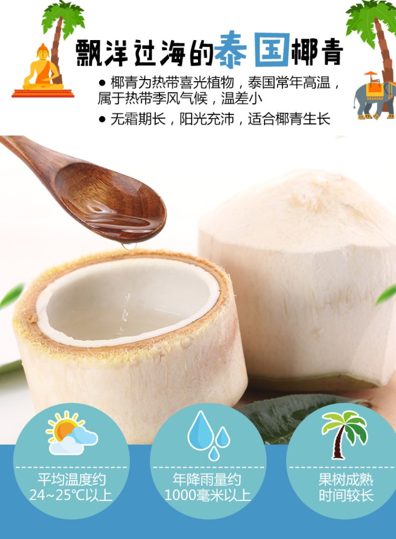 京鲜配送佳农泰国椰青原箱9个装9个装850g个