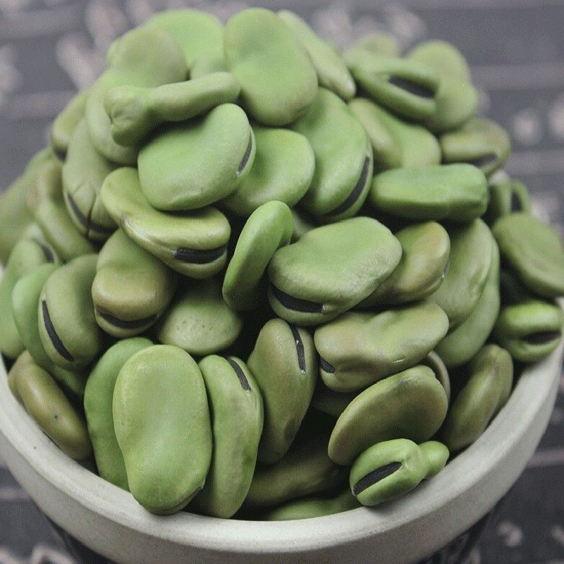 精选早熟蚕豆种子大粒罗汉豆农家胡豆高产大荚福豆大田四季播种籽 黄
