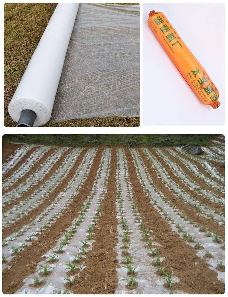 地膜农用白膜蔬菜大棚膜保温保湿果园透明塑料工程膜种植保护薄膜20斤