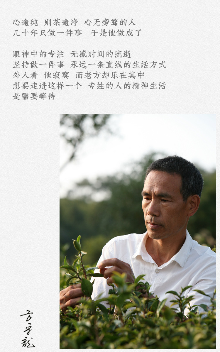 方守龙四季白茶品鉴装2020年福鼎太姥山白茶直供