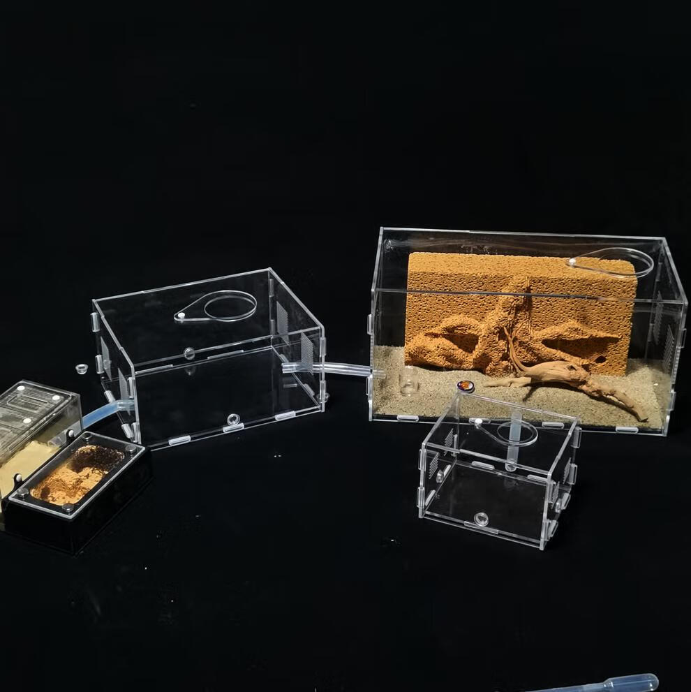 蚂蚁城堡宠物蚂蚁生态箱五代天然吸水石蚁巢手工蚁村部落蚂蚁工坊