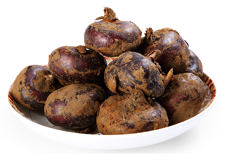 正宗乐昌北乡大号马蹄荸荠地栗乌芋新鲜水果韶关特产8斤