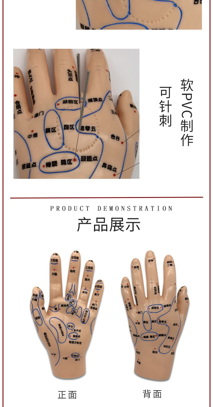 穴位模型15cm手穴位模型圖按摩手針灸推拿反射區中醫學習教學手部超清