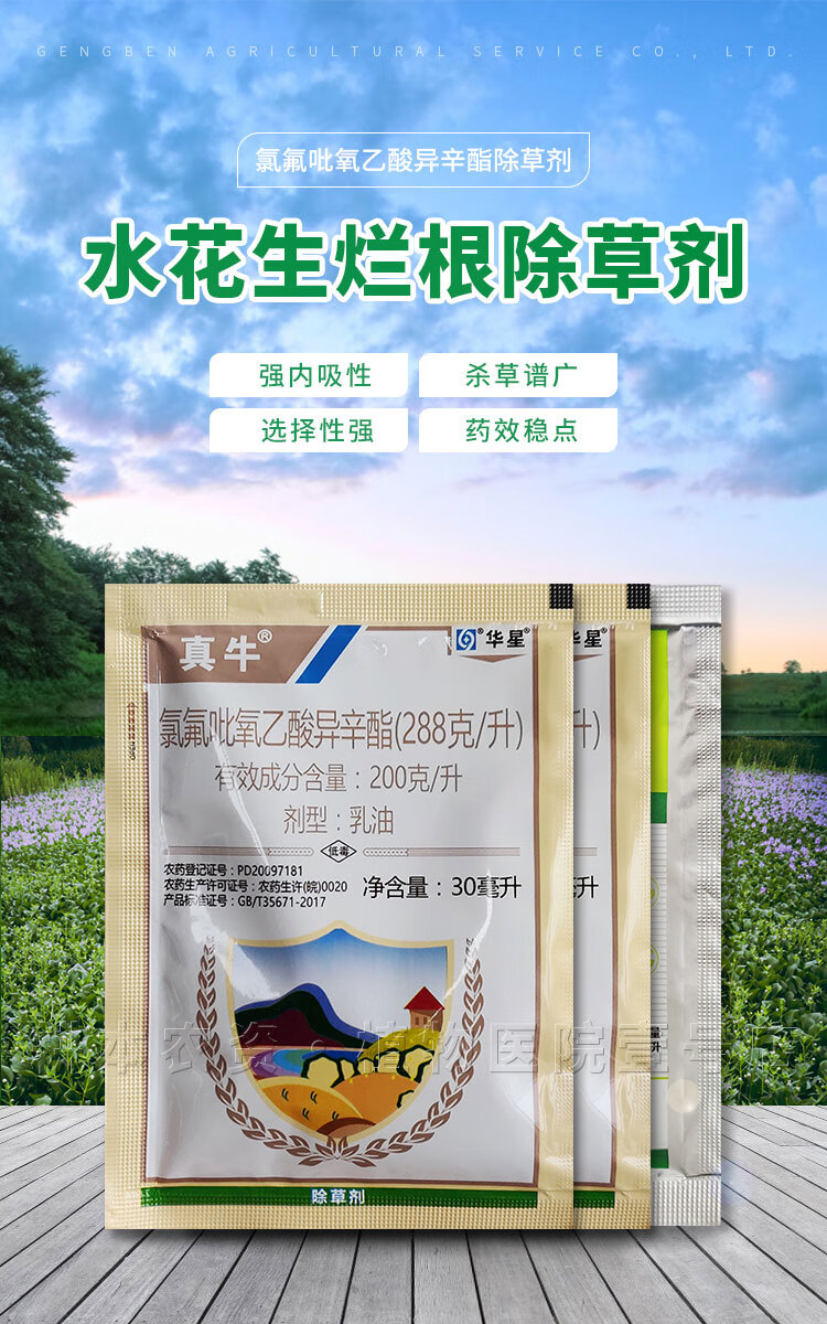 专杀水花生烂根连根除草空心喜旱莲子草水葫芦专用克星除草剂 75ml