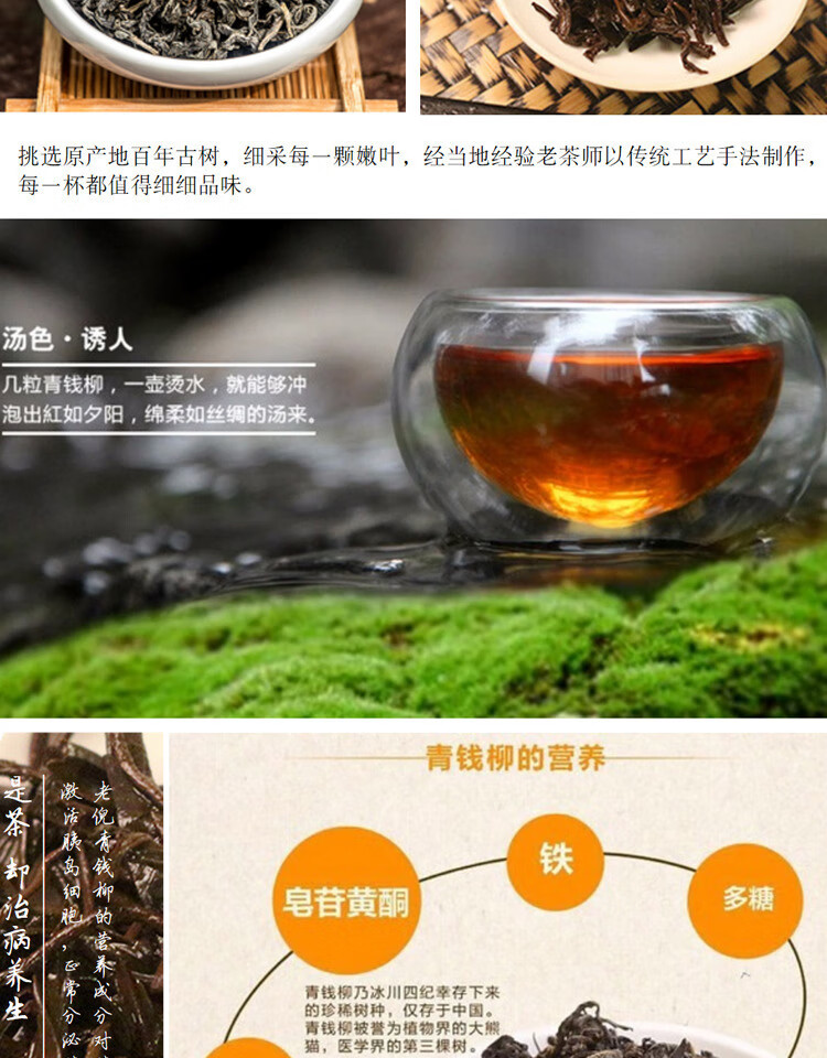 贵州雷山老倪青钱柳茶野生青钱柳茶古树养生茶金钱柳买21买32