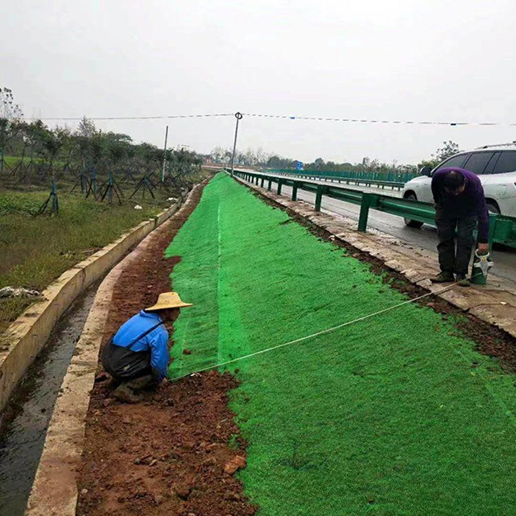 三維植被網護坡固土網三維網園林綠化土工塑料網椰絲毯墊植草加筋j