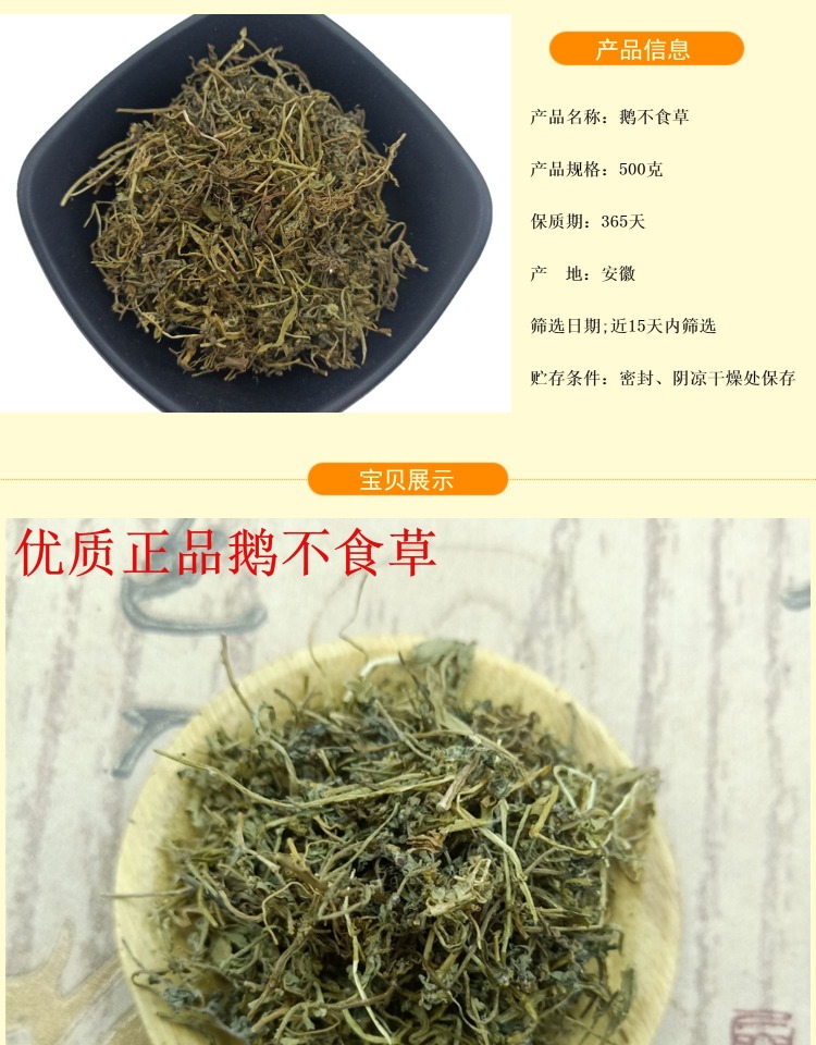 官方旗舰中药材鹅不食草新鲜干货500g食胡荽鹅不食鹅不食草粉末鹅不食