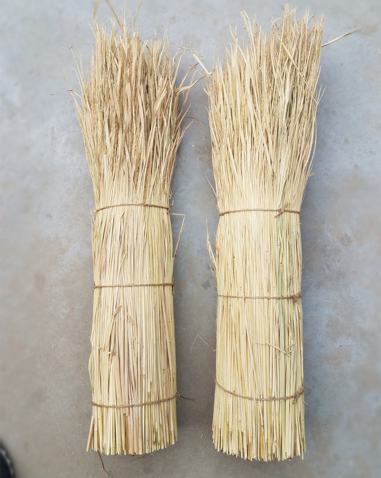 稻草新稻草杆绑粽子水稻草杆子禾杆草芯动物铺窝取暖草垛道具装饰天然