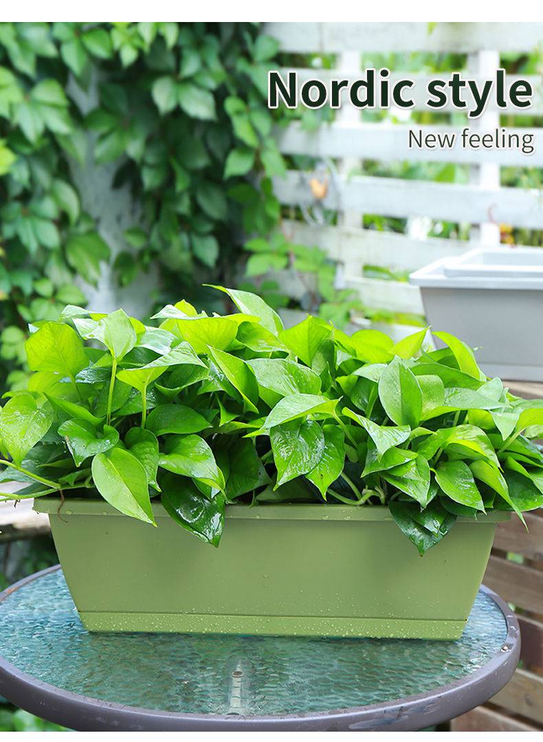 霍仑盆种菜阳台塑料花盆批发特大号长条花盆家用种菜花盆 霍仑盆【墨