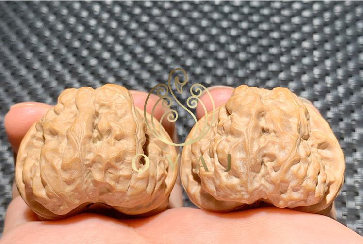 qvaj 金蟾狮子头蛤蟆头文玩核桃手把件野生小众自然收藏精品大尺寸