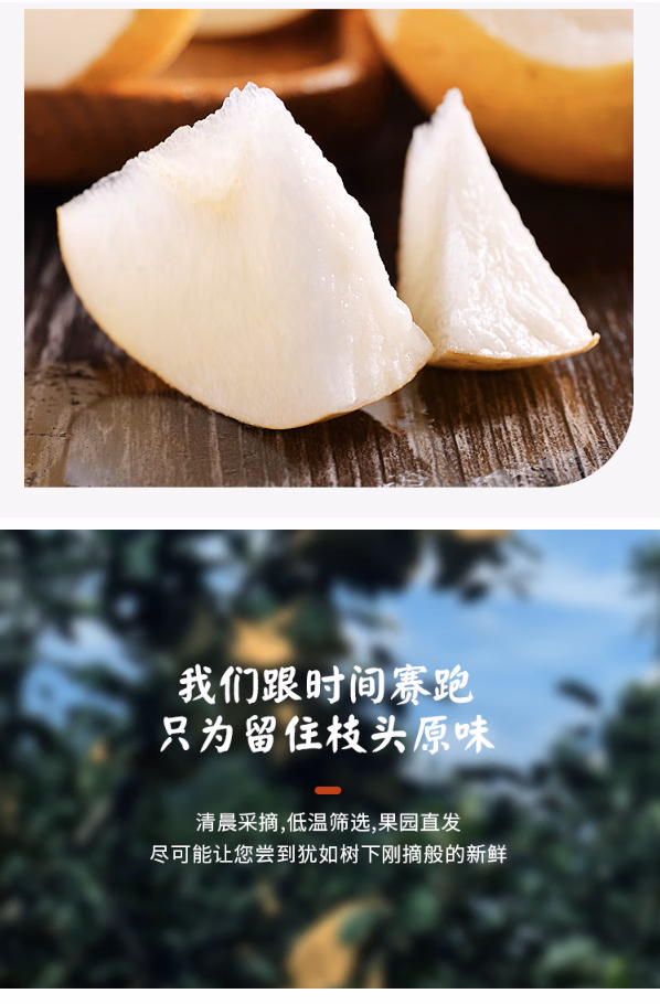 048021e34610d53f.jpg.avif