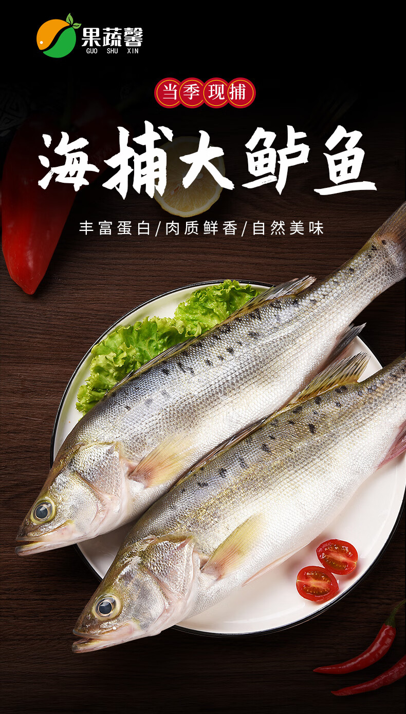 新鲜鲈鱼3条鲜活冷冻海鲜深海鱼水产清蒸鲈鱼红烧七星海鲈鱼商用