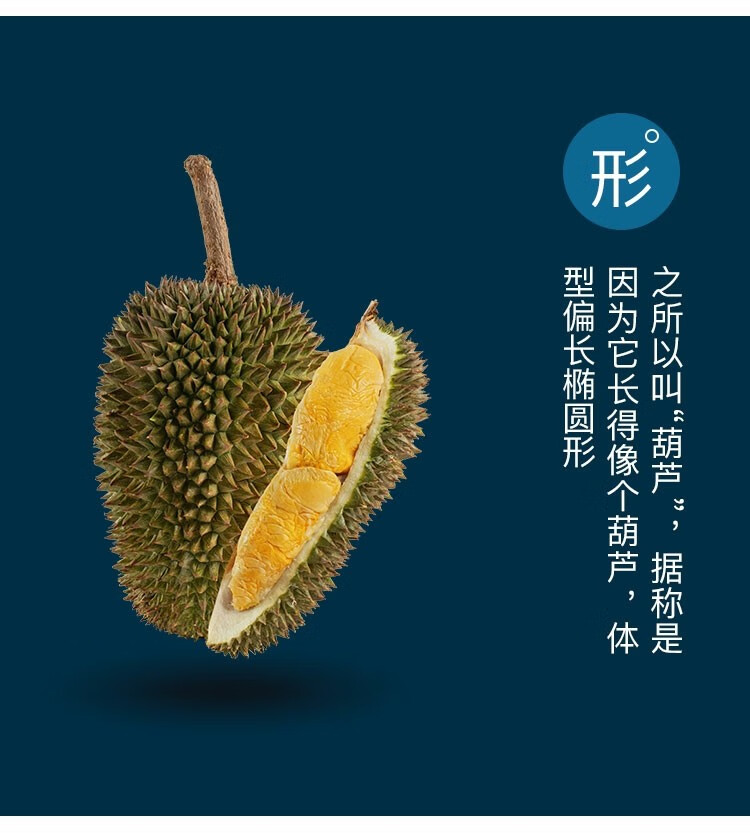顺丰冷链正宗马来西亚榴莲葫芦d163新鲜液氮冷冻果肉整果带壳液氮197