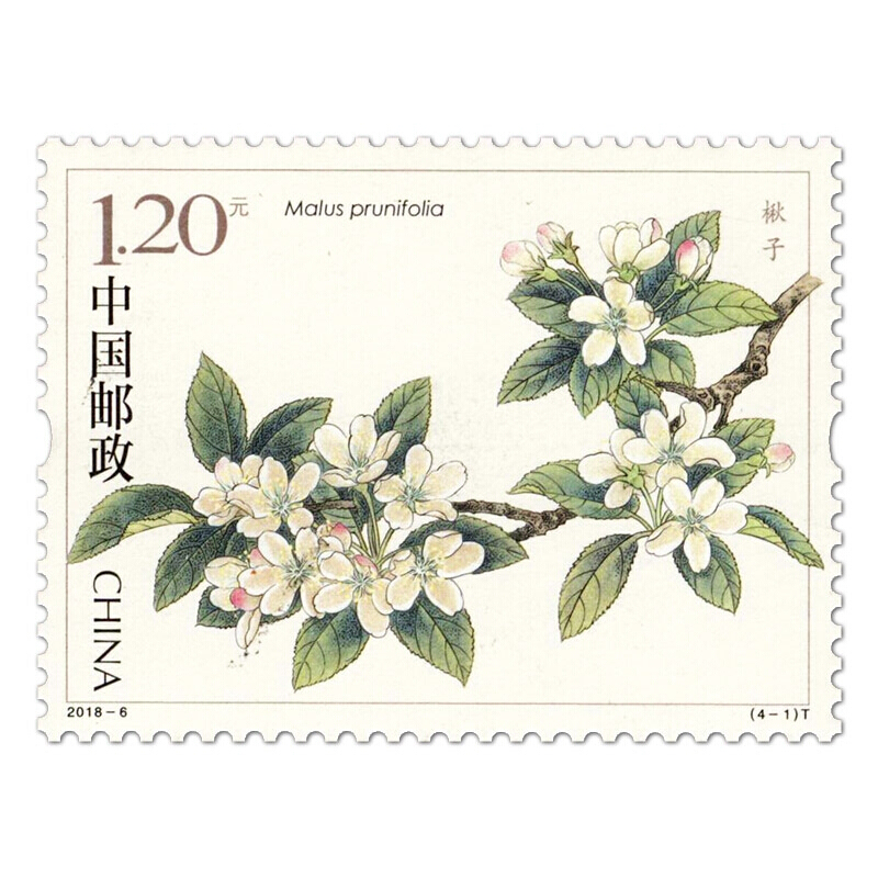 中国邮票收藏2018年邮票20186海棠花特种邮票大版票
