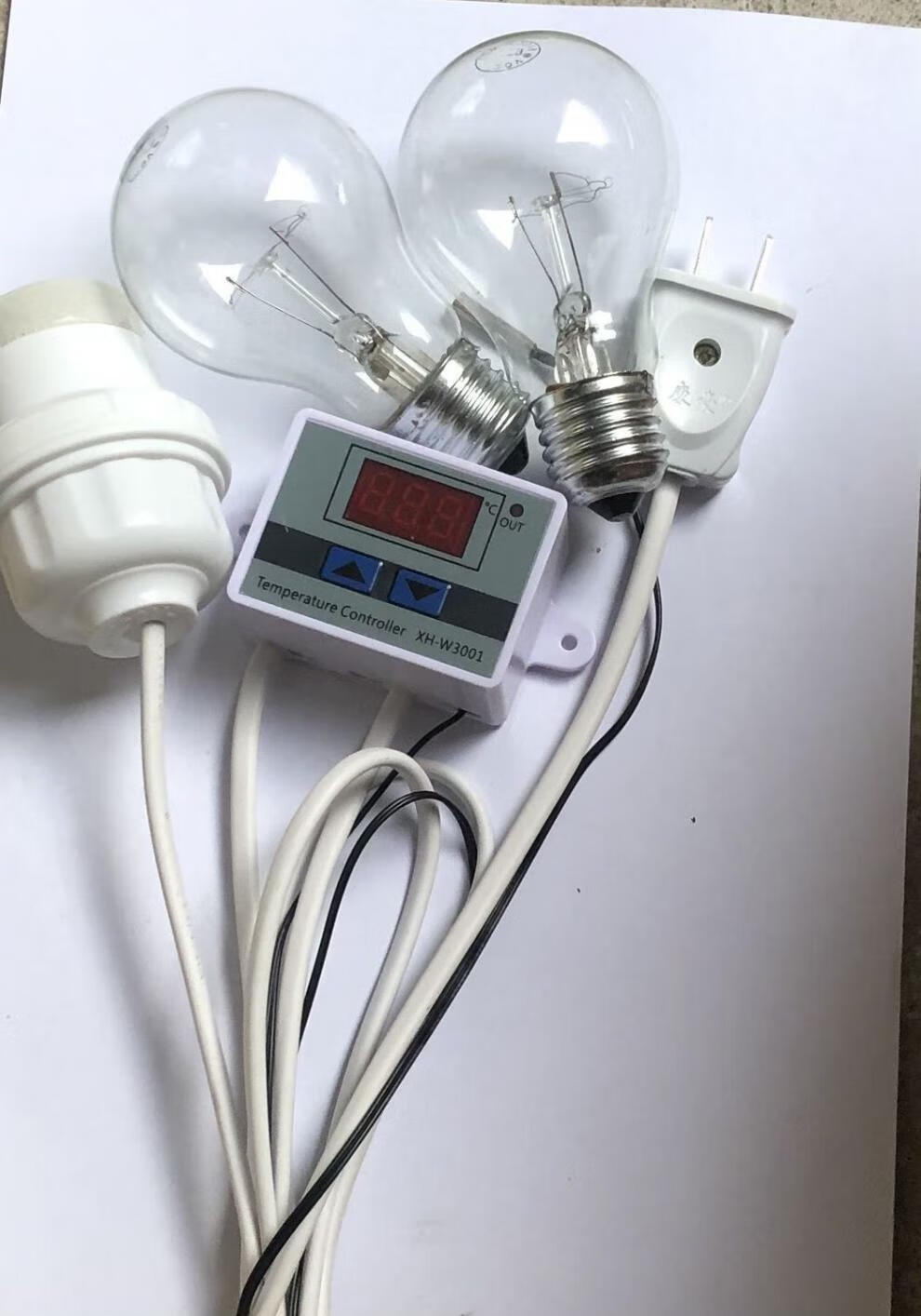 保温灯小鸡育稚箱自动控温箱鸡鸭鹅鹌鹑加热灯养殖取暖灯泡台灯全自动