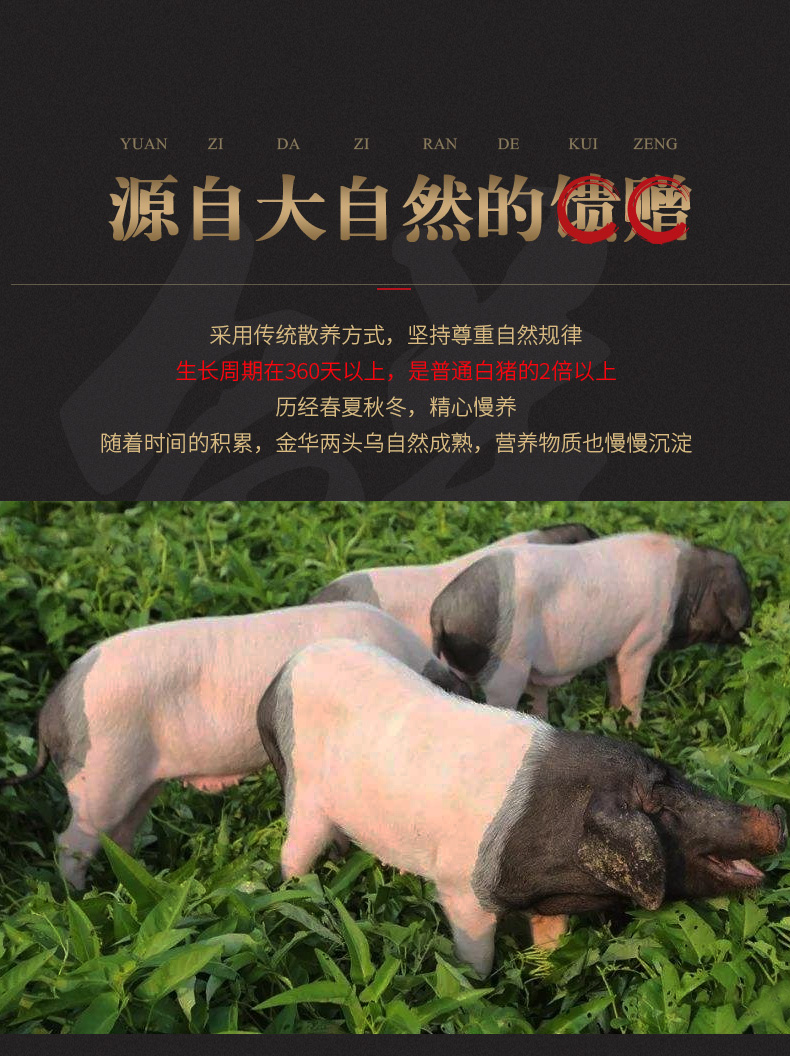 礼盒火腿两头乌40kg黑土猪整腿