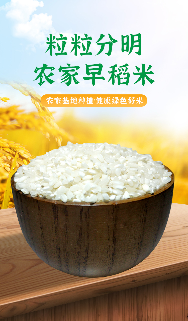 2021年新米早米安徽早稻米早籼米无粘性大米五斤装小熊农场种植 五斤