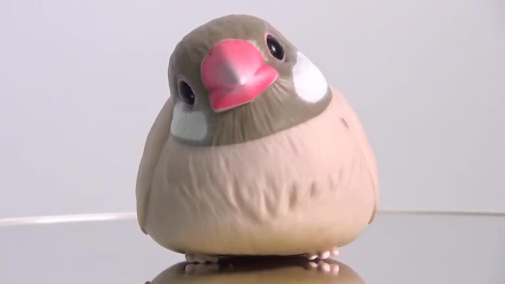 掌上小鸟盲盒 文鸟 鹦鹉 盒蛋 樱花文鸟模型 6蓝色小鸟 全新彩盒现货