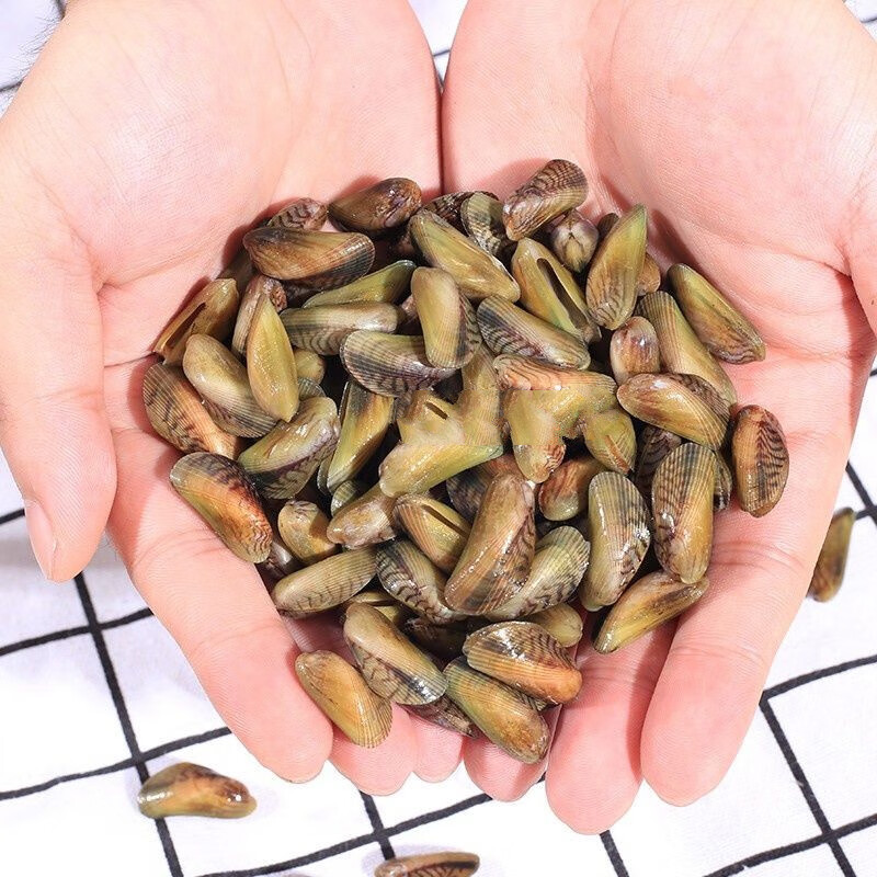 海鲜水产鲜活薄壳海瓜子一斤 红肉薄壳目厦门海瓜子 生鲜海鲜萌逗虾米