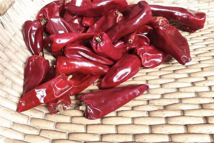 板椒大铁皮椒红不辣椒干批发新疆红油上色专用 红不辣-铁皮大板椒【粗