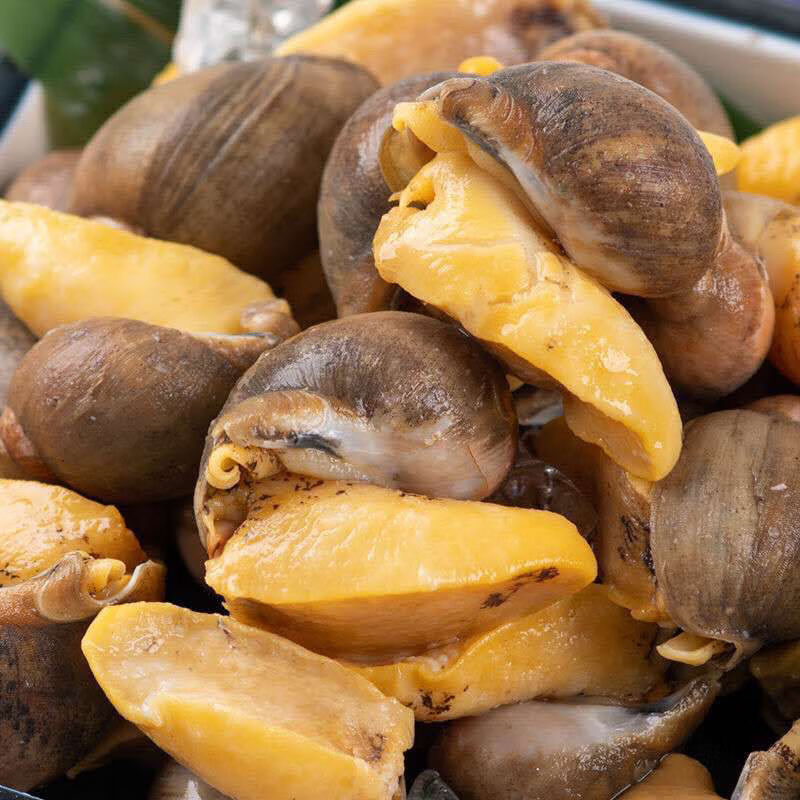 网红老婆脚鲍螺无冰无沙假鲍鱼鲍鱼螺新鲜珍珠鲍带壳金鲍螺 四斤加料