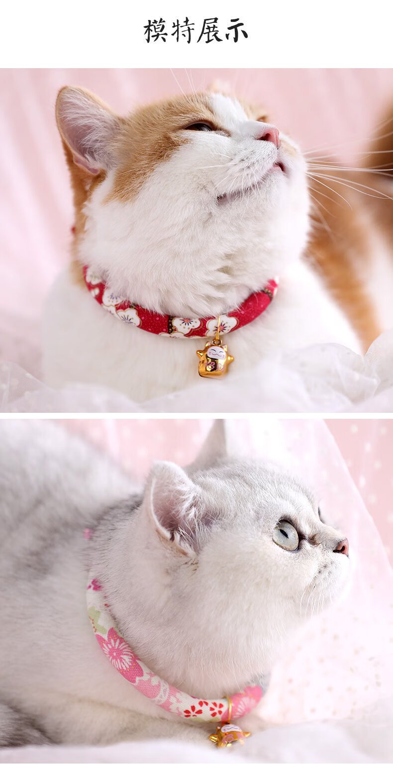 猫咪铃铛项圈猫咪项圈脖圈装饰小猫项链狗狗宠物项圈猫咪饰品猫项圈