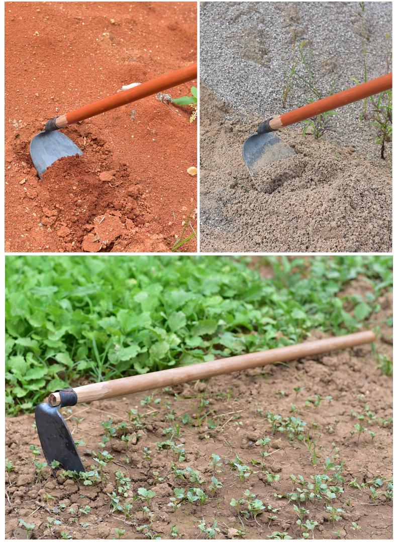 锻打农用锄头户外种菜除草翻地长柄农具锄草挖土大 锻打中号泥灰锄 1