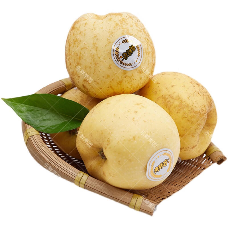 黄金维纳斯苹果3斤礼盒装黄胖子冬恋苹果甜脆甘肃苹果新鲜水果【图片