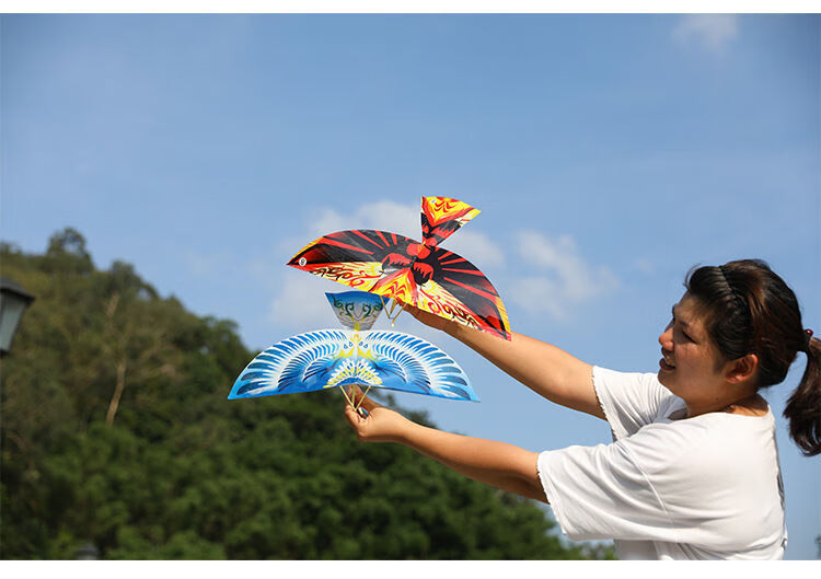 神孩子橡皮筋动力扑翼飞鸟玩具儿童科教户外飞行鲁班飞机diy组装竞赛