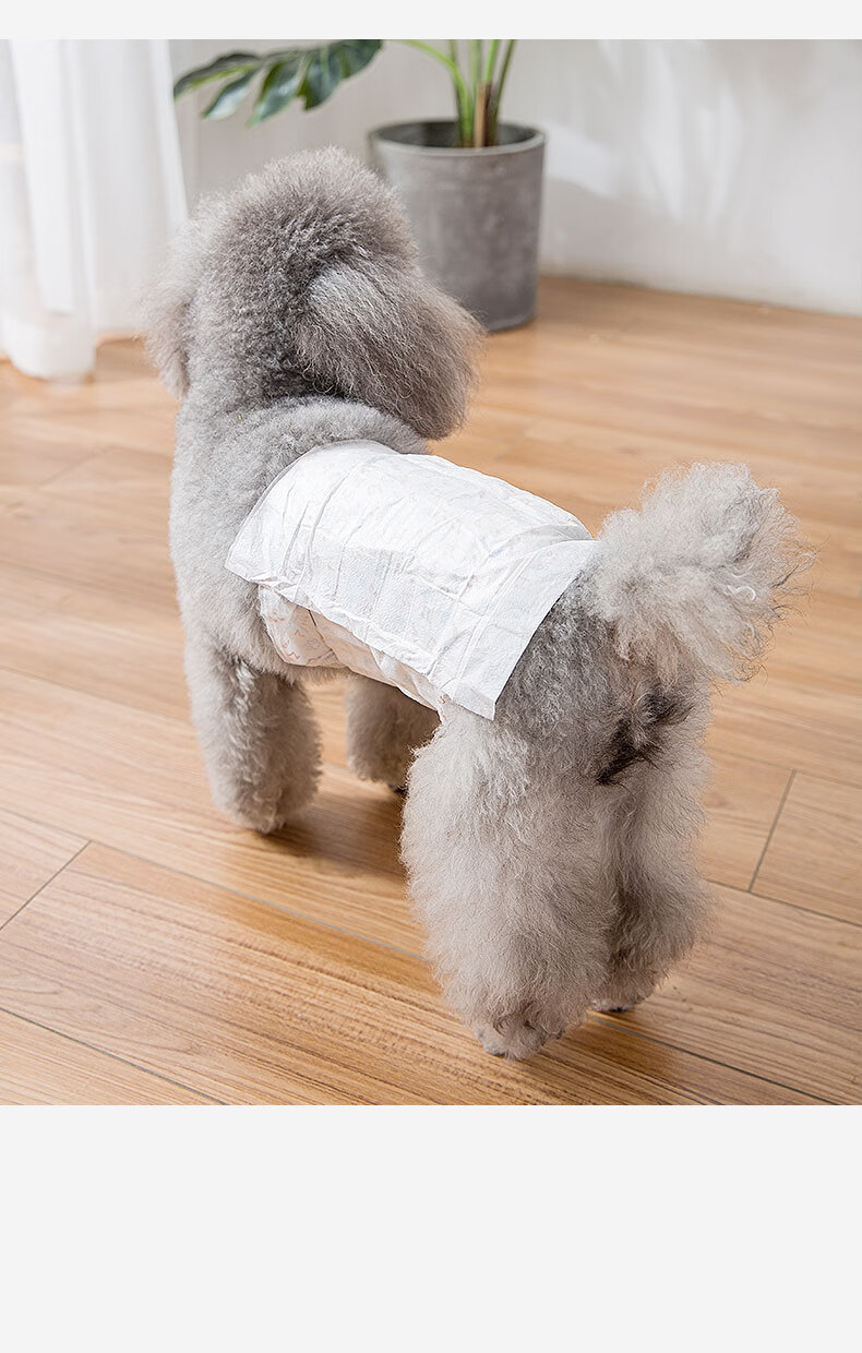 纸尿裤礼貌防乱尿泰迪狗狗尿不湿纸尿裤内裤蓝格子2包装s适用于24斤