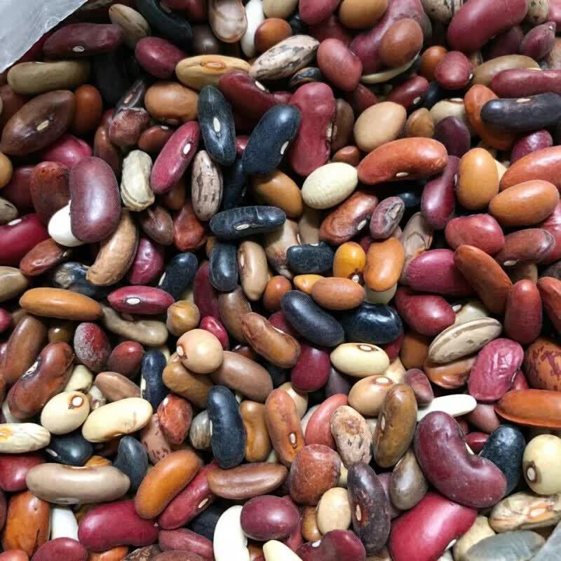 八宝豆农家自产杂芸豆豆类组合红腰豆八宝粥原料杂粮豆3斤装