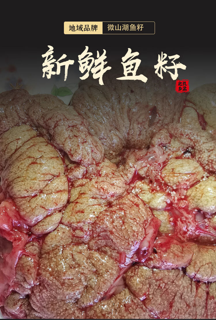 新鲜鱼籽鲤鱼籽鱼卵鱼蛋淡水鱼泡活鱼现杀冷冻1斤2斤酒店餐馆新鲜鱼籽