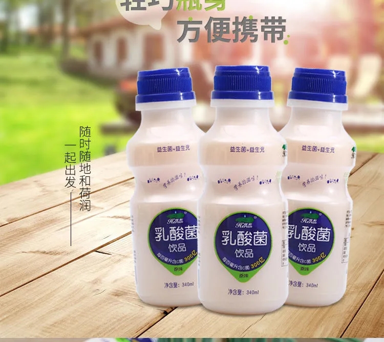 益生元乳酸菌饮料整箱340mlx12瓶装酸奶饮品学生牛奶商超市 原味