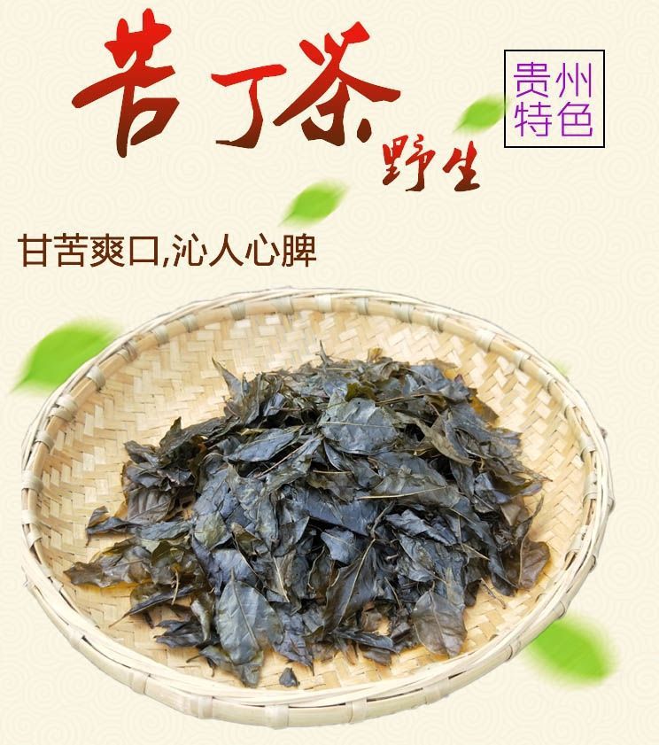 贵州遵义特产野生苦丁茶小叶苦茶余庆小叶苦茶苦中甘甜毛冬青茶 苦丁
