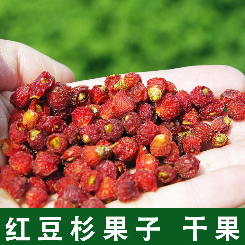 南方红豆杉果实干果红豆杉果子含泡酒泡茶煲汤材 红豆杉果干150克