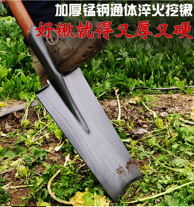 铁锹农用锰钢加厚挖树专用铲子挖土坑洛阳铲园林工具大全神器窄口尖锹