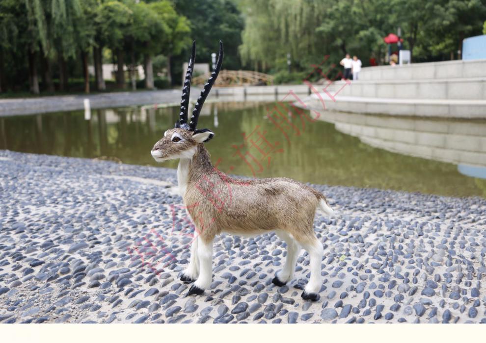 仿真羚羊真皮毛藏羚羊摆件玩偶工艺品仿真羚羊动物玩具模型标本摆设