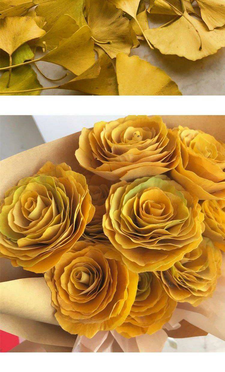 银杏叶花束叶子天然真树叶干花做花植物叶片diy叶材料玫瑰花成品2月10