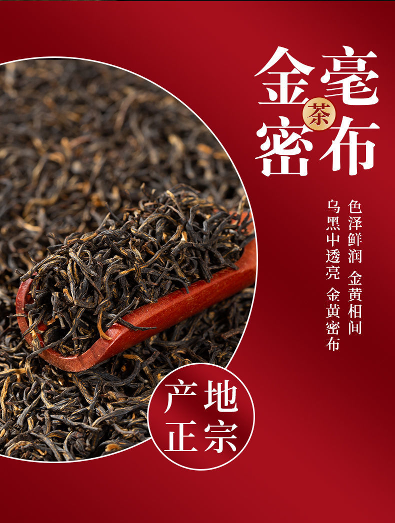 金駿眉紅茶茶葉正山小種2021年新茶正宗武夷山濃香金俊眉50g/500g