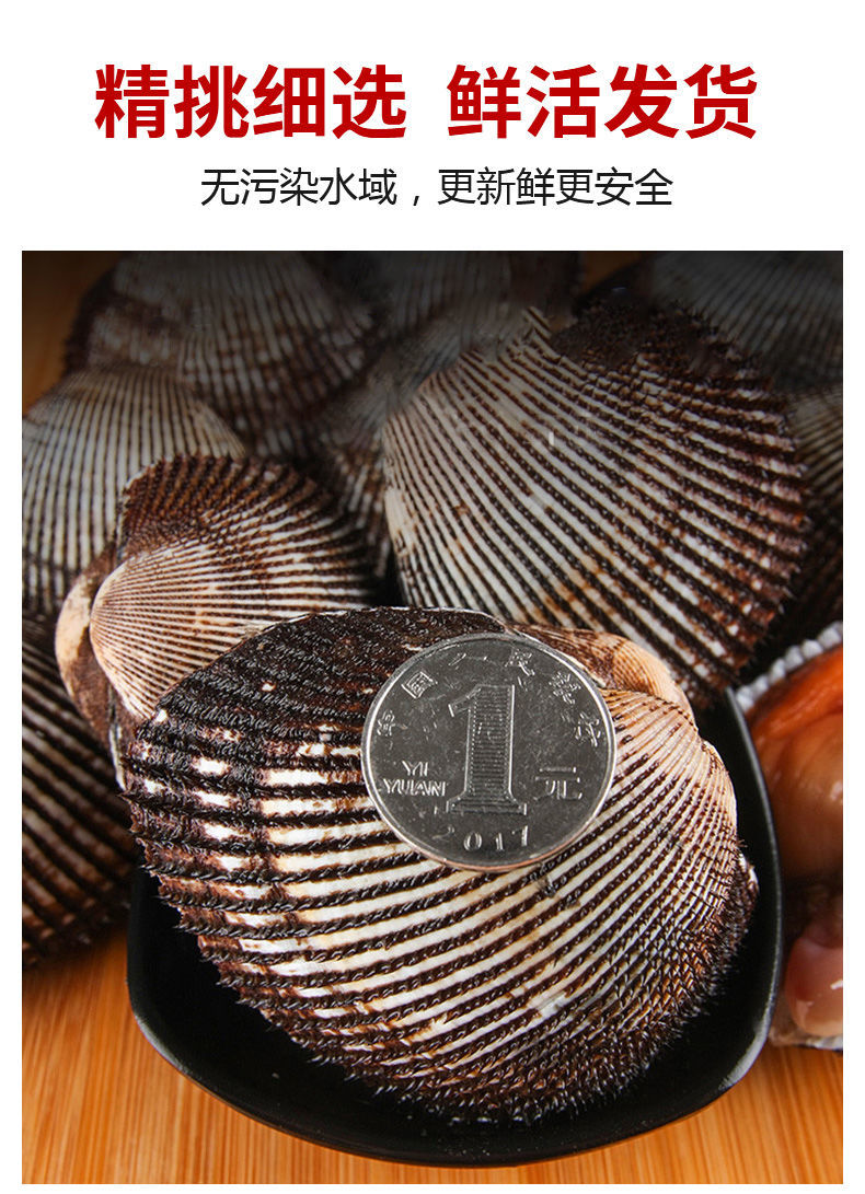 鲜活大毛蛤大毛蚬毛钳贝类赤贝血蛤银钳雪蛤海鲜水产新鲜 买四斤赠四