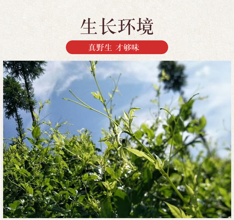 5折張家界野生莓茶特級芽尖土家茅巖黴茶長壽龍鬚藤茶顯齒蛇葡萄500g