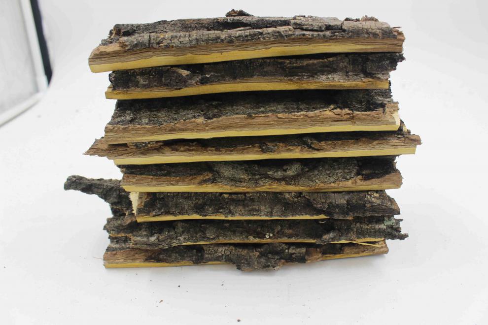 长白山核桃树皮东北核桃树皮野生山核桃皮非树枝500g泡水伊梵麦