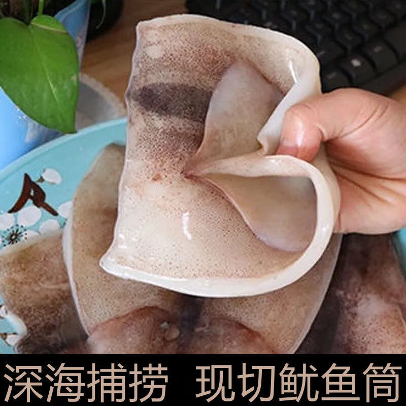 新鲜大鱿鱼片海捕速冻鱿鱼身三锅烧烤食材海鲜华奥薇斯精选15斤无冰