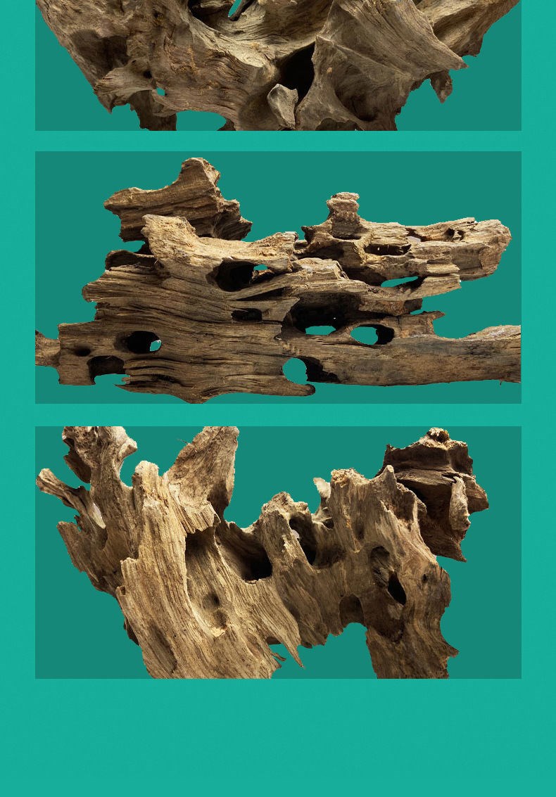 虾木躲避洞沉木(精品30厘米以上)蜂窝木多孔镂空虾木鱼虾躲避屋产卵洞