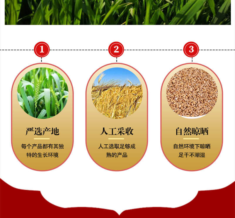 浮小麦中药材500g浮小麦