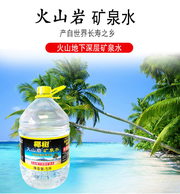 椰树矿泉水5l桶2椰树牌火山岩矿泉水饮用水火山岩椰树火山岩矿泉水5l2