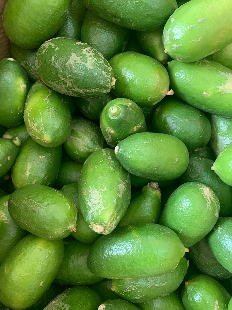 海南香水柠檬二级果5斤四季青柠奶茶店专用水果皮薄华海春 50-200g 5